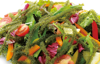 海ぶどうサラダ