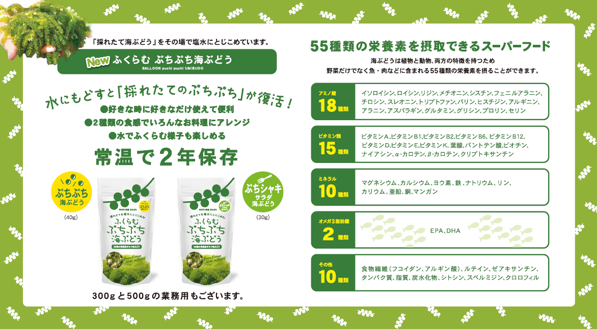 ふくらむぷちぷち海ぶどうシリーズ